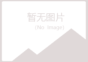 青海山柳工程有限公司